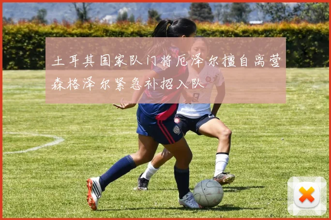 土耳其国家队门将厄泽尔擅自离营森格泽尔紧急补招入队